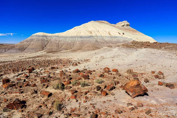 Arizona taşlaşmış orman — Stok fotoğraf