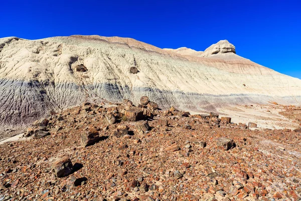 Arizona petrified forest — Stock Photo, Image