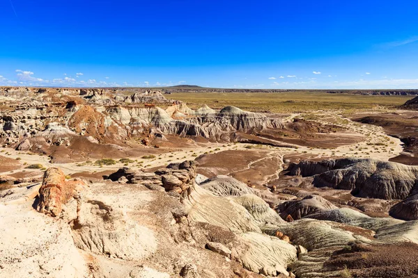 Paisagem Deserto Bela Floresta Petrificada Arizona — Fotografia de Stock