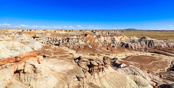 Paisagem Deserto Bela Floresta Petrificada Arizona — Fotografia de Stock