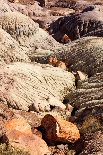 Arizona zkamenělý Les — Stock fotografie