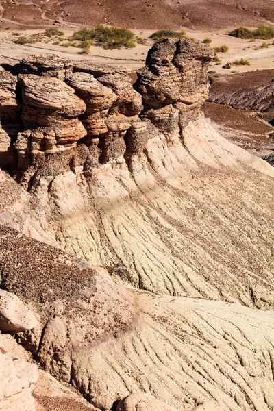 Arizona zkamenělý Les — Stock fotografie