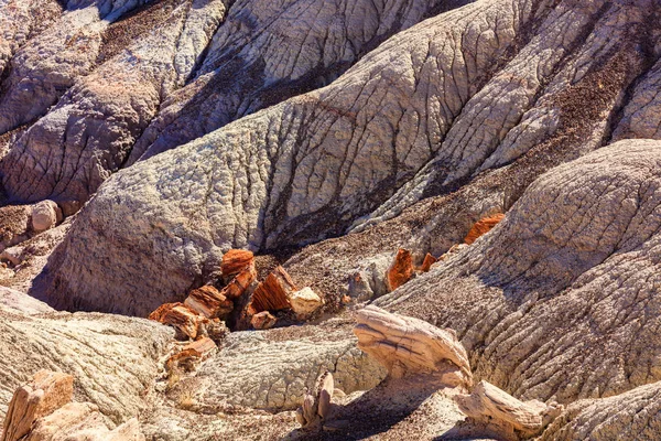 亚利桑那州石化森林 — 图库照片