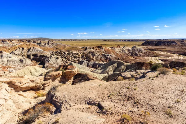 Arizona petrified forest — Stock Photo, Image