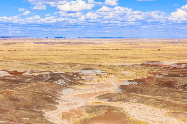 Paisagem Deserto Bela Floresta Petrificada Arizona — Fotografia de Stock