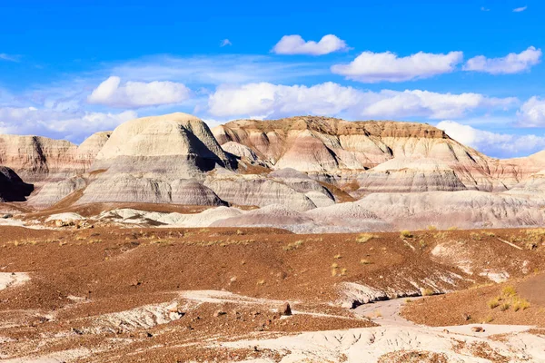 Arizona petrified forest — Stock Photo, Image