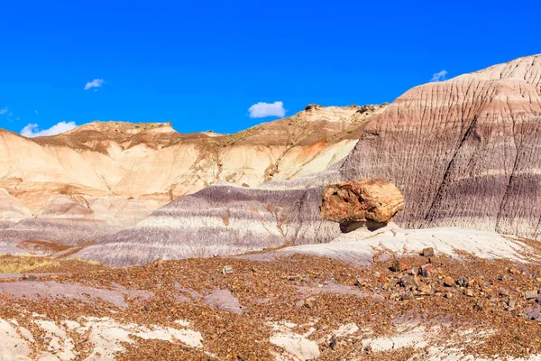 Arizona taşlaşmış orman — Stok fotoğraf