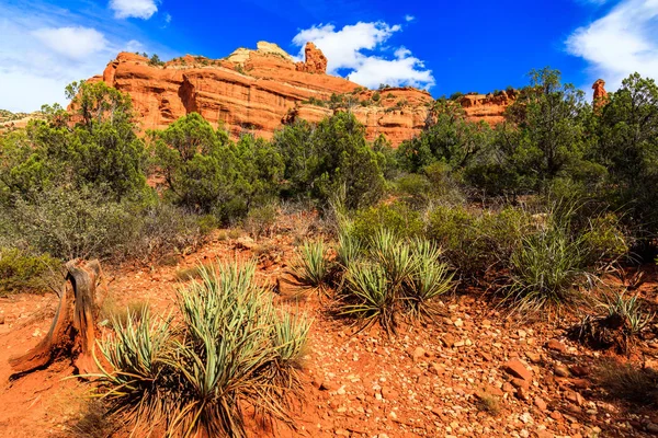 Sedona rode rots — Stockfoto