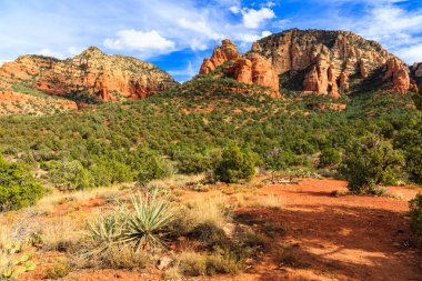 Sedona Arizona Çölü