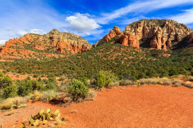 Sedona Arizona Çölü