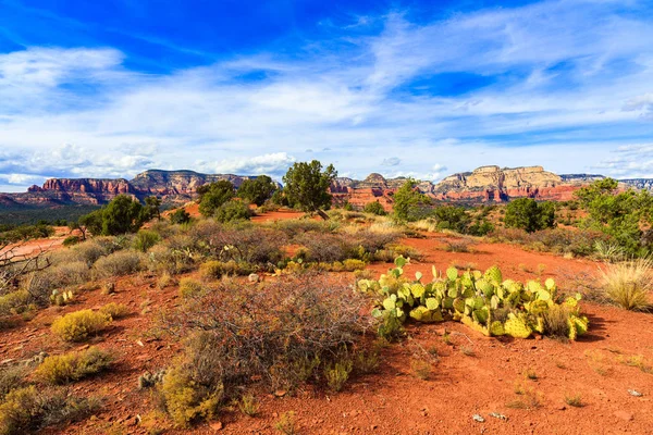 Sedona Arizonaöknen — Stockfoto