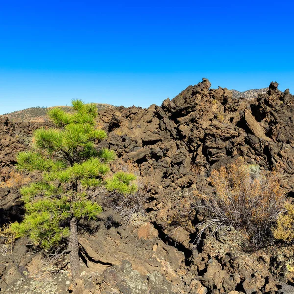 Природная Красота Вулкана Сансет Кратер Остаффе Аризона — стоковое фото