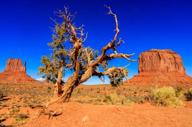 Monument Valley Utah