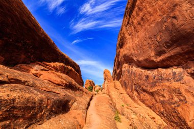 Arches Ulusal Parkı