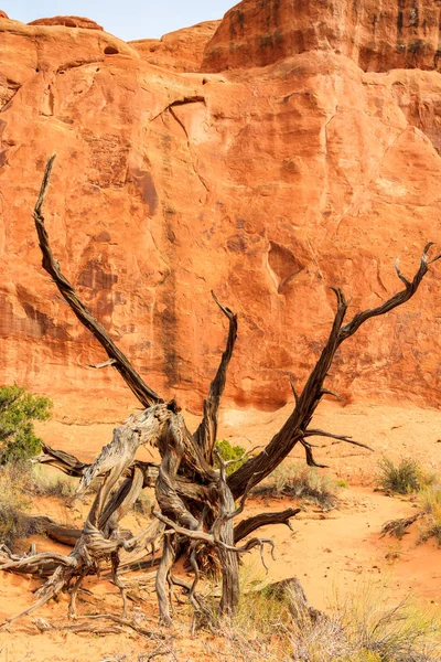 Parc national des Arches — Photo