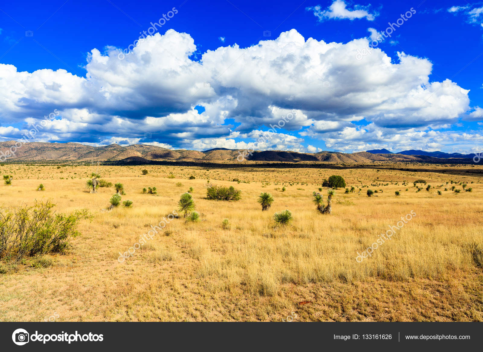 New Mexico landscape Stock Photo by ©fotoluminate 133161626
