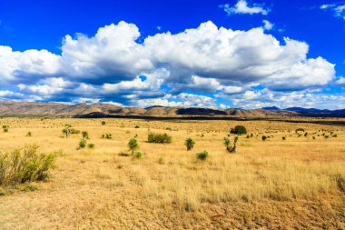 New Mexico landscape clipart