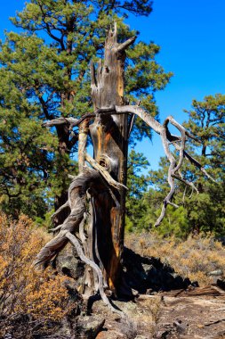 gün batımı krater yanardağ