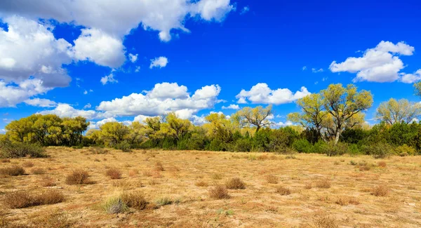 New Mexico landscape — Stock Photo, Image