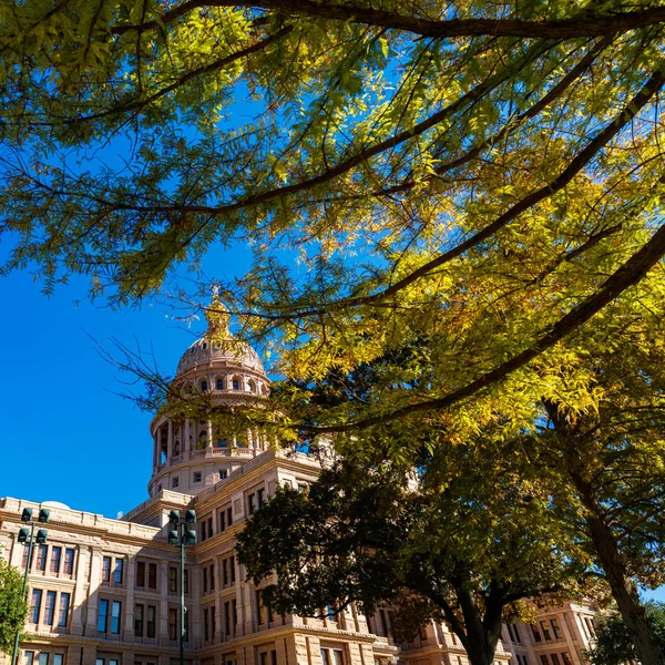 Texas State Capitol — Stock Photo, Image