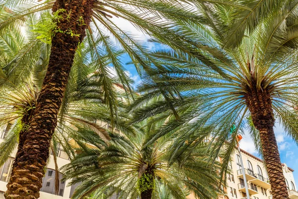 Centro da Coral Gables — Fotografia de Stock