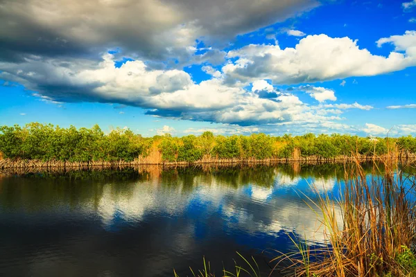 Florida Everglades canal — Foto de Stock