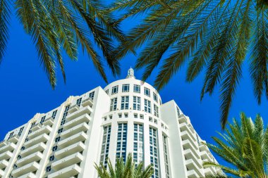 güzel miami beach 