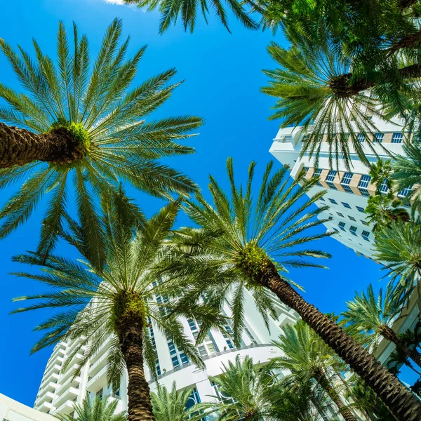 Beautiful Miami Beach — Stock Photo, Image