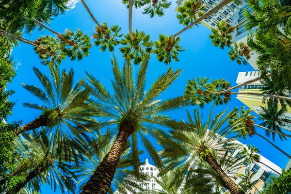 Beautiful Miami Beach — Stock Photo, Image
