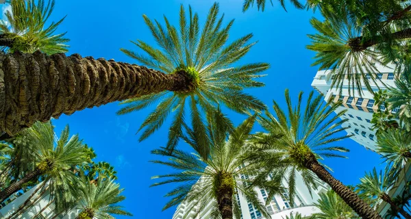 Beautiful Miami Beach — Stock Photo, Image