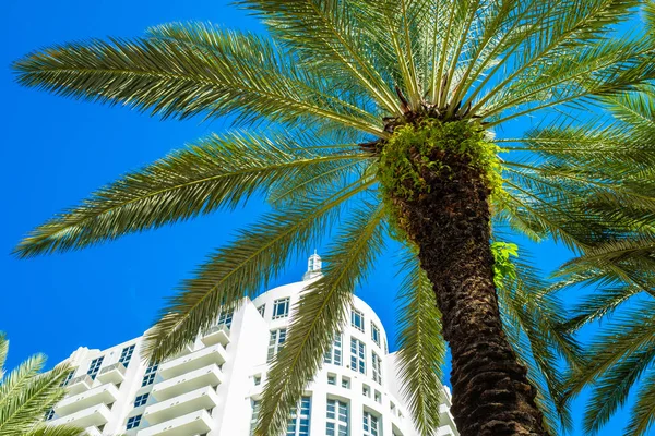 Hermosa playa de Miami —  Fotos de Stock