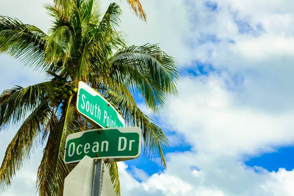 Miami Beach beauty — Stock Photo, Image