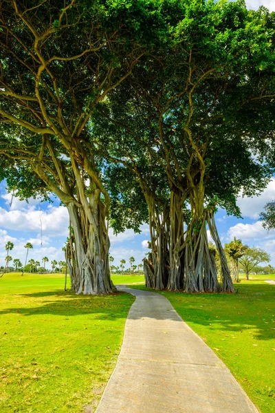 Beautiful golf course — Stock Photo, Image