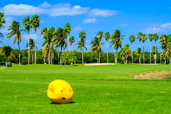Vacker golfbana — Stockfoto