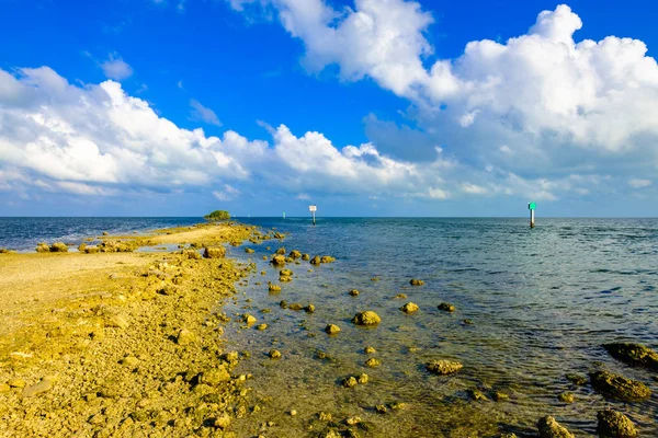 Nationaalpark Biscayne — Stockfoto