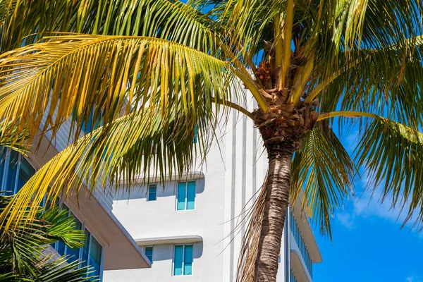 Beautiful Miami Beach — Stock Photo, Image