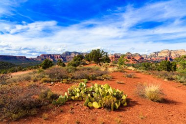 güzel sedona arizona