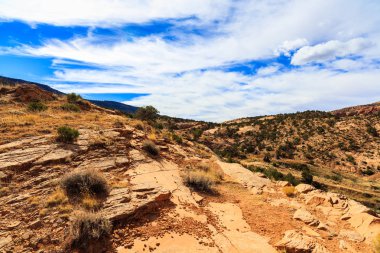 Arizona çöl manzarası