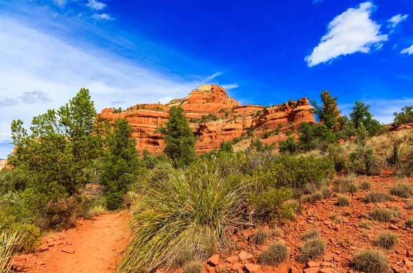 Sedona red rock — Stockfoto