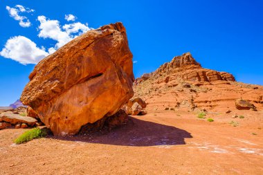 Arizona çöl manzarası