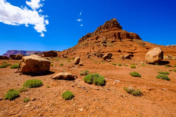 Arizona paisagem deserto — Fotografia de Stock