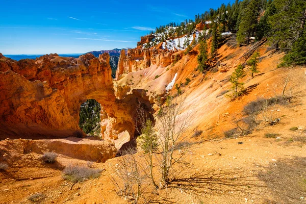 Bryce Canyon Utah — Stock Photo, Image