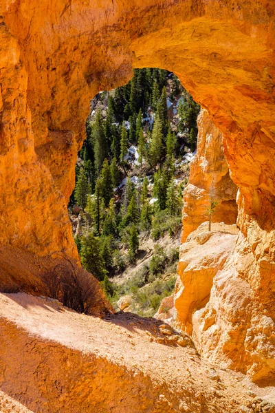 Bryce Canyon Utah — Fotografia de Stock