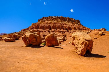 Arizona çöl manzarası