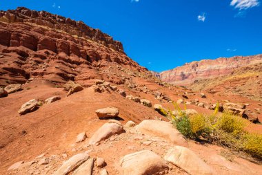 Arizona çöl manzarası