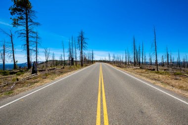 Bryce Canyon yolu