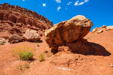 Arizona çöl manzarası