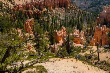 Bryce Canyon Utah