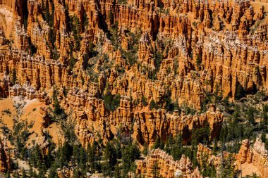 Muhteşem hoodoos Bryce Canyon Milli Parkı'nda Utah'ın doğal güzelliği görünümünü kapat.