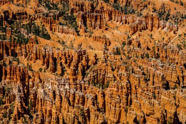 Muhteşem hoodoos Bryce Canyon Milli Parkı'nda Utah'ın doğal güzelliği görünümünü kapat.